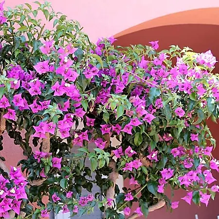 Le Dune Aparthotel Ispica